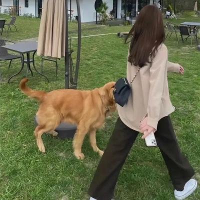 月下琴心