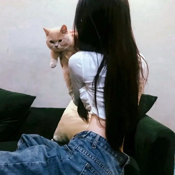 风云再起